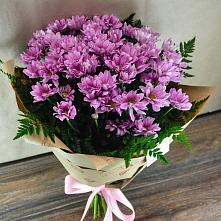 Букет цветов из:  Хризантемы #REPLACE_PRED# Арсеньево
