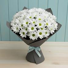 Букет цветов из:  Хризантемы в Арсеньево