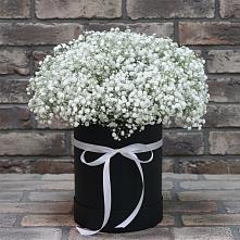Цветочная композиция из Гипсофила в шляпной коробке в Арсеньево