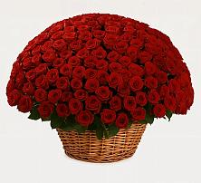 Премиум букет из: Розы в Арсеньево